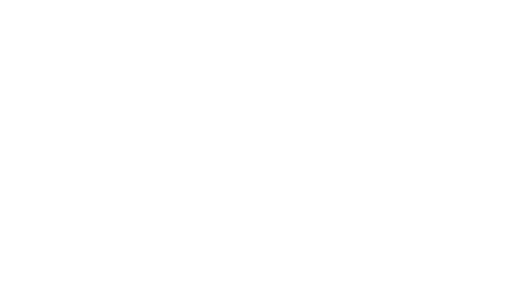 Titanium Max™